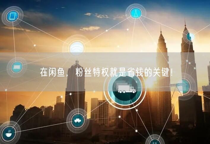 在闲鱼,粉丝特权就是省钱的关键!