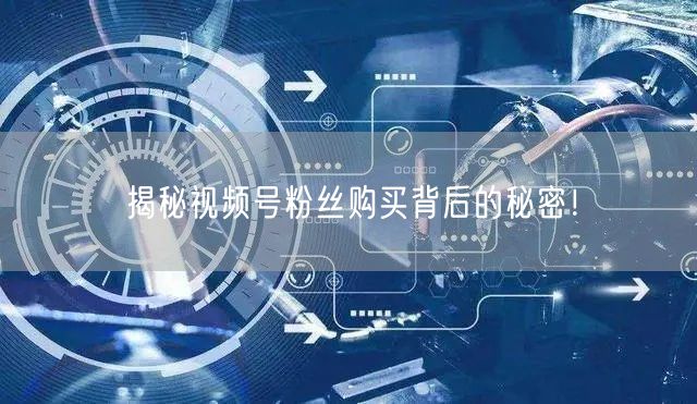 揭秘视频号粉丝购买背后的秘密!