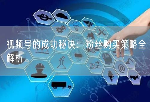 视频号的成功秘诀：粉丝购买策略全解析。