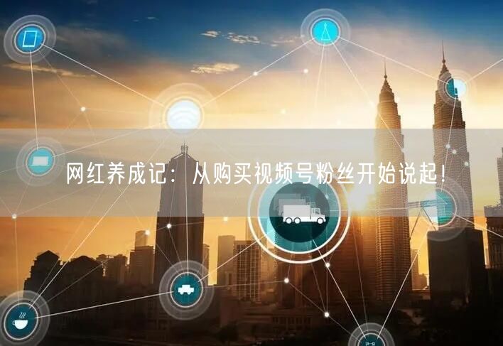 网红养成记:从购买视频号粉丝开始说起!