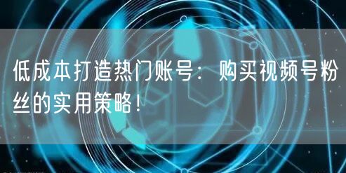 低成本打造热门账号:购买视频号粉丝的实用策略!