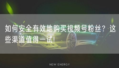 如何安全有效地购买视频号粉丝?这些渠道值得一试!
