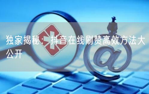 独家揭秘：抖音在线刷赞高效方法大公开