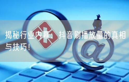 揭秘行业内幕:抖音刷播放量的真相与技巧!