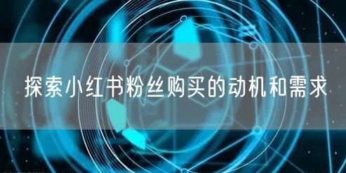 探索小红书粉丝购买的动机和需求