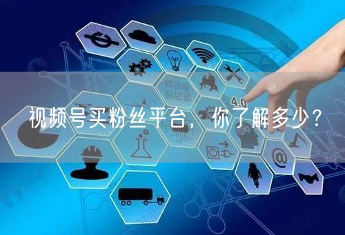 视频号买粉丝平台,你了解多少?