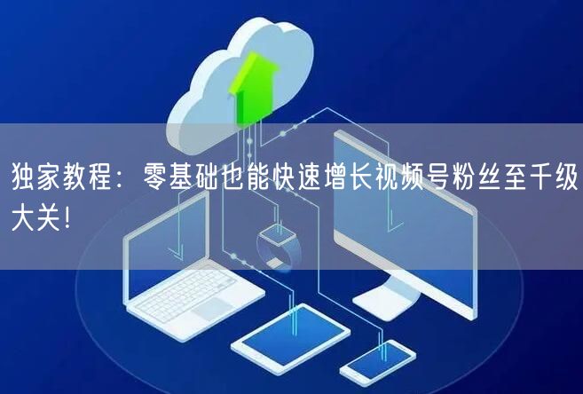 独家教程:零基础也能快速增长视频号粉丝至千级大关!