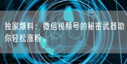独家爆料:微信视频号的秘密武器助你轻松涨粉。